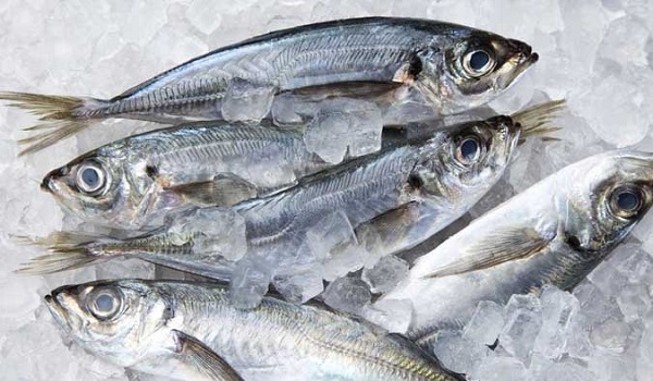 Pescado congelado