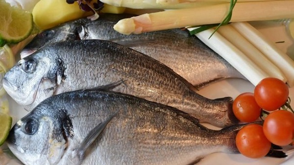 dorada pescado blanco o azul