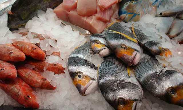 cuanto dura el pescado congelado