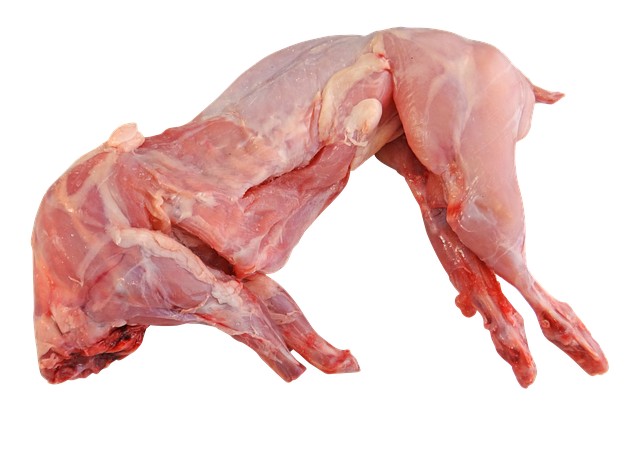 carne de conejo