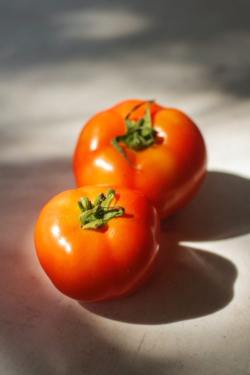 Tomate Variedades