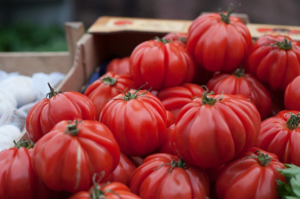 Tomate Variedades