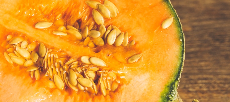 sandia y melon