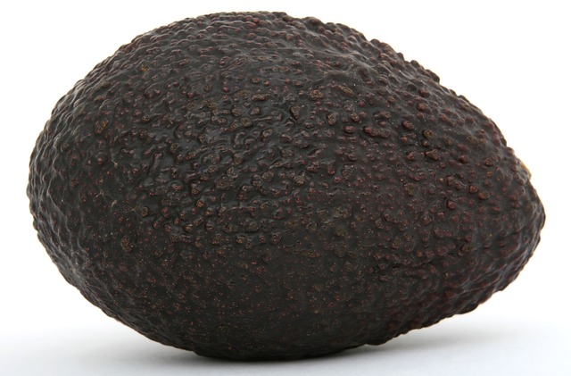 aguacate fruta o verdura