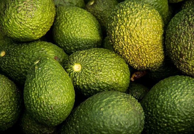 el aguacate es fruta o verdura