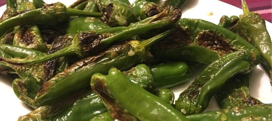 pimiento del padron