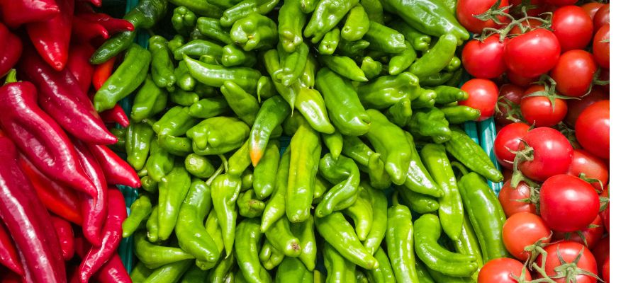 pimiento del padron