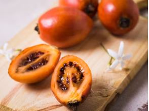 tomate de árbol