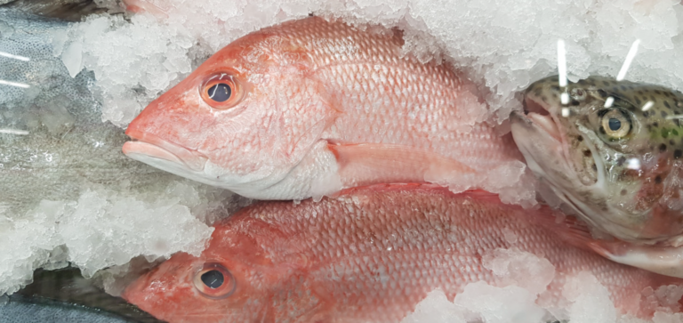 como saber si el pescado es fresco