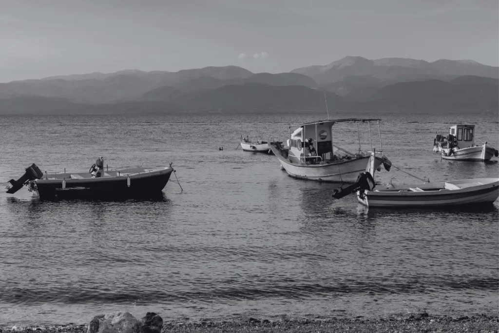 caldereta de pescado sencilla
